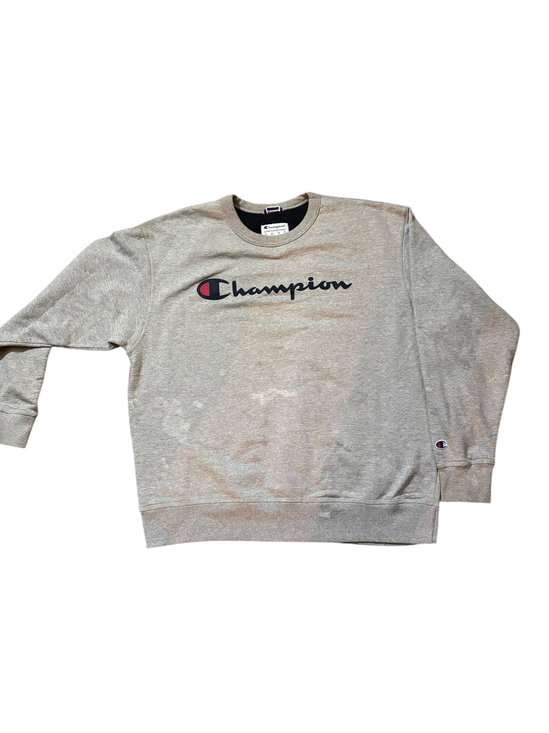 Champion Hoodie and Crewnecks (LOT OF 3)