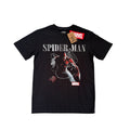 Marvel Spider-Man Heavyweight Graphic Tee
