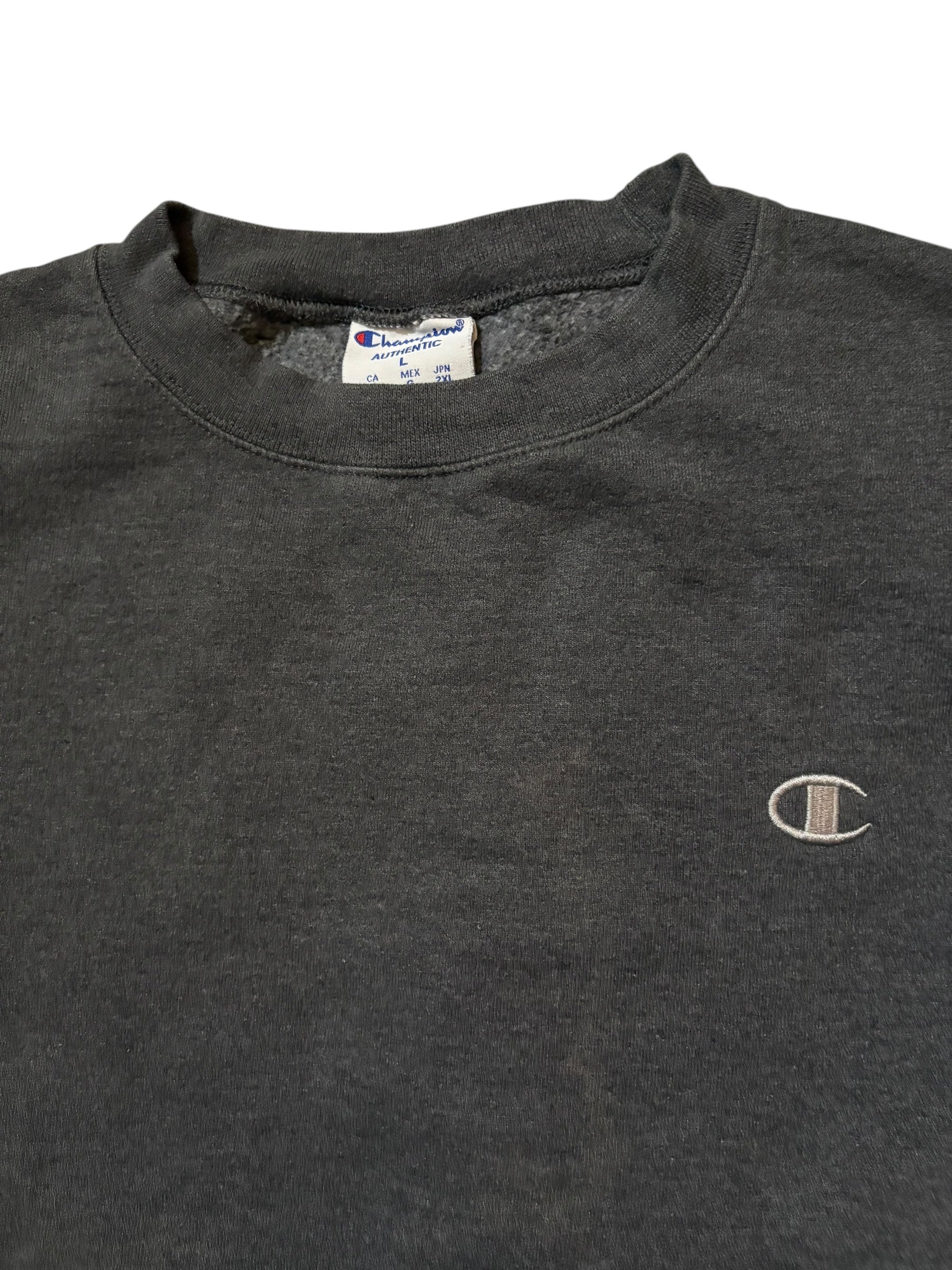 Champion Hoodie and Crewnecks (LOT OF 3)