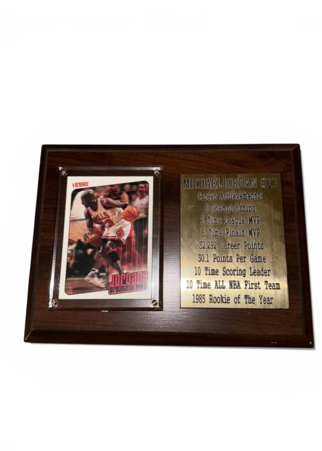 Wall Frame of Michael Jordan and his accolades
